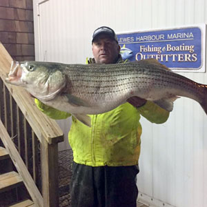 Ins & Outs At Lewes: August Fishing On Delaware Bay - The Fisherman