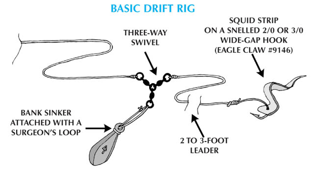Davy Knot - line to hook/lure/swivel #fishingtips #fishing #fish