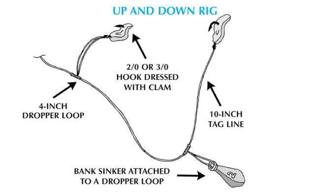 Sea Bass - Up And Down Rig